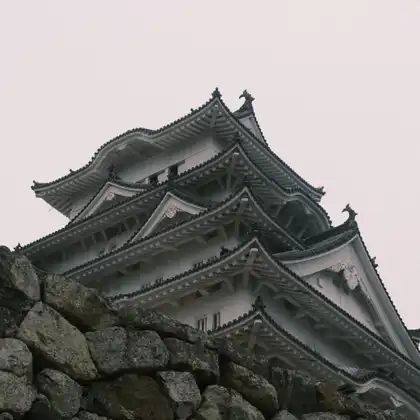 DSCF5786
